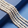 Natural Cultured Freshwater Pearl Beads Strands A23WT011-2