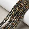 Natural African Turquoise(Jasper) Beads Strands G-RM241221-K6-1