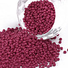 11/0 FGB Grade A Baking Paint Glass Seed Beads X-SEED-N001-A-1058-1