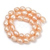 Natural Cultured Freshwater Pearl Beads Strands PEAR-P064-20K-04C-01-3