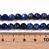Natural Sodalite Beads Strands G-S345-6mm-26-5
