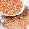 Transparent Glass Round Seed Beads SEED-B001-05A-31-1