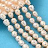 Natural Cultured Freshwater Pearl Beads Strands PEAR-I007-01F-07B-1
