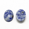 Natural Blue Spot Jasper Cabochons G-R415-13x18-45-2