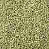 TOHO 8/0 Round Beads X-SEED-TR08-PF0559-2