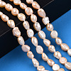 Natural Cultured Freshwater Pearl Beads Strands PEAR-N014-05J-2