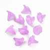 Transparent Acrylic Beads X-BSF796-C08-4
