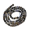 Natural Iolite Beads Strands G-G343-B01-4mm-3