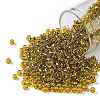 TOHO 8/0 Round Beads X-SEED-TR08-2155S-1