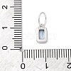 925 Sterling Silver Cubic Zirconia Charms STER-NH0014-01P-03-3