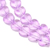 Transparent Glass Beads Strand GLAA-F112-01B-4