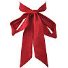 2Pcs Chiffon Ties for Women AJEW-SP0003-52B-1