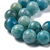 Natural Gemstone Hemimorphite Round Beads Strands G-L145-14mm-01-5