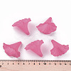 Transparent Acrylic Beads X-BSF796-C16-6