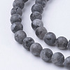 Natural Black Larvikite Bead Strands G-G735-57F-6mm-3