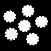 Natural Trochid Shell/Trochus Shell Beads SSHEL-R145-01-2