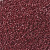 MIYUKI Delica Beads SEED-MY11-DB2119-3