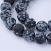 Natural Snowflake Obsidian Beads Strands G-Q462-8mm-10-1