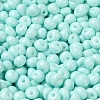 6/0 Opaque Baking Paint Glass Seed Beads X1-SEED-M012-02A-04-3