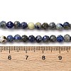 Natural Lapis Lazuli Beads Strands G-RM2025-A41-4mm-B-5