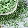 Baking Paint Glass Seed Beads SEED-S042-15A-08-1