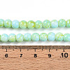 Baking Paint Glass Beads Strands DGLA-N003-6mm-C04-5