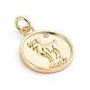 Brass Micro Pave Cubic Zirconia Pendants ZIRC-E164-34G-G-1