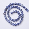 Natural Blue Spot Jasper Beads Strands G-D855-10-8mm-2