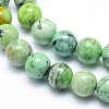 Natural Variscite Beads Strands G-G823-02-6mm-3