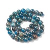 Natural Apatite Beads G-E481-05-8mm-01-3