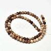 Frosted Natural Petrified Wood Round Bead Strands G-F266-07-8mm-2