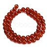 Natural Carnelian Beads Strands G-C280-B10-8mm-5