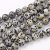 Natural Dalmatian Jasper Stone Bead Strands G-R193-14-8mm-1