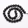 Natural Obsidian Beads Strands G-G549-6mm-02-2