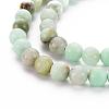 Natural Chrysoprase Beads Strands G-S333-8mm-037-3