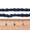 Natural Lapis Lazuli Beads Strands G-F808-J01-01-5