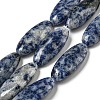 Natural Blue Spot Jasper Beads Strands G-B078-E07-01-1