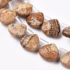 Natural Picture Jasper Beads Strands G-G821-04B-3