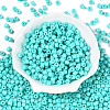 Opaque Baking Paint Glass Seed Beads SEED-T008-02O-2