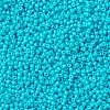 MIYUKI Round Rocailles Beads SEED-G008-RR4480-3