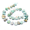 Natural Peruvian Turquoise(Jasper) Beads Strands G-E569-R05-2