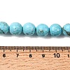 Natural Magnesite Beads Strands G-P598-E-10mm-05-5