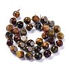 Natural Pietersite Beads Strands G-A030-B14-10mm-2