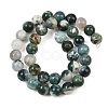 Natural Tree Agate Beads Strands G-I199-03-10mm-5