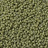 MIYUKI Round Rocailles Beads SEED-X0054-RR4474-2