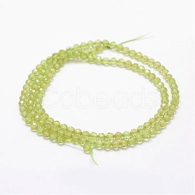 Natural Peridot Beads Strands G-F460-52-1