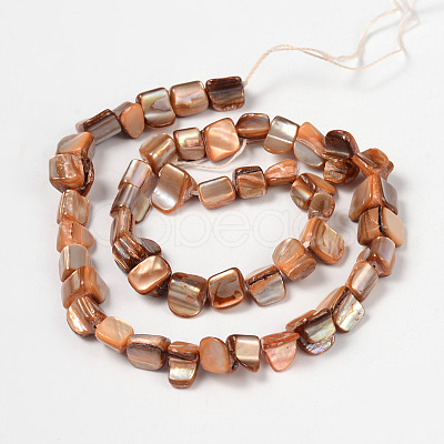 Erose Natural Shell Beads Strands PBB069Y-1