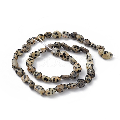 Natural Dalmatian Jasper Beads Strands X-G-B039-03A-1