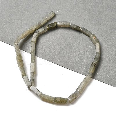 Natural Labradorite Beads Strands G-G873-A02-01-1