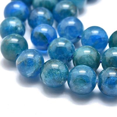 Natural Apatite Beads Strands G-O186-E02-8mm-1